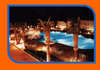 Happy Life Village 